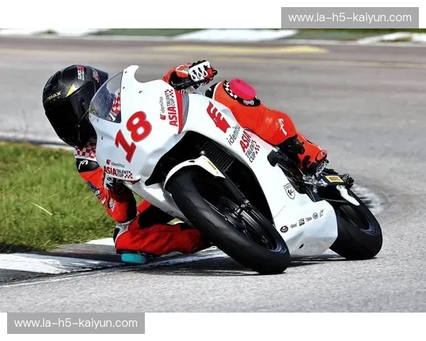 赛车集锦：速度的诗篇